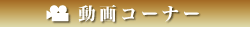 動画コーナー
